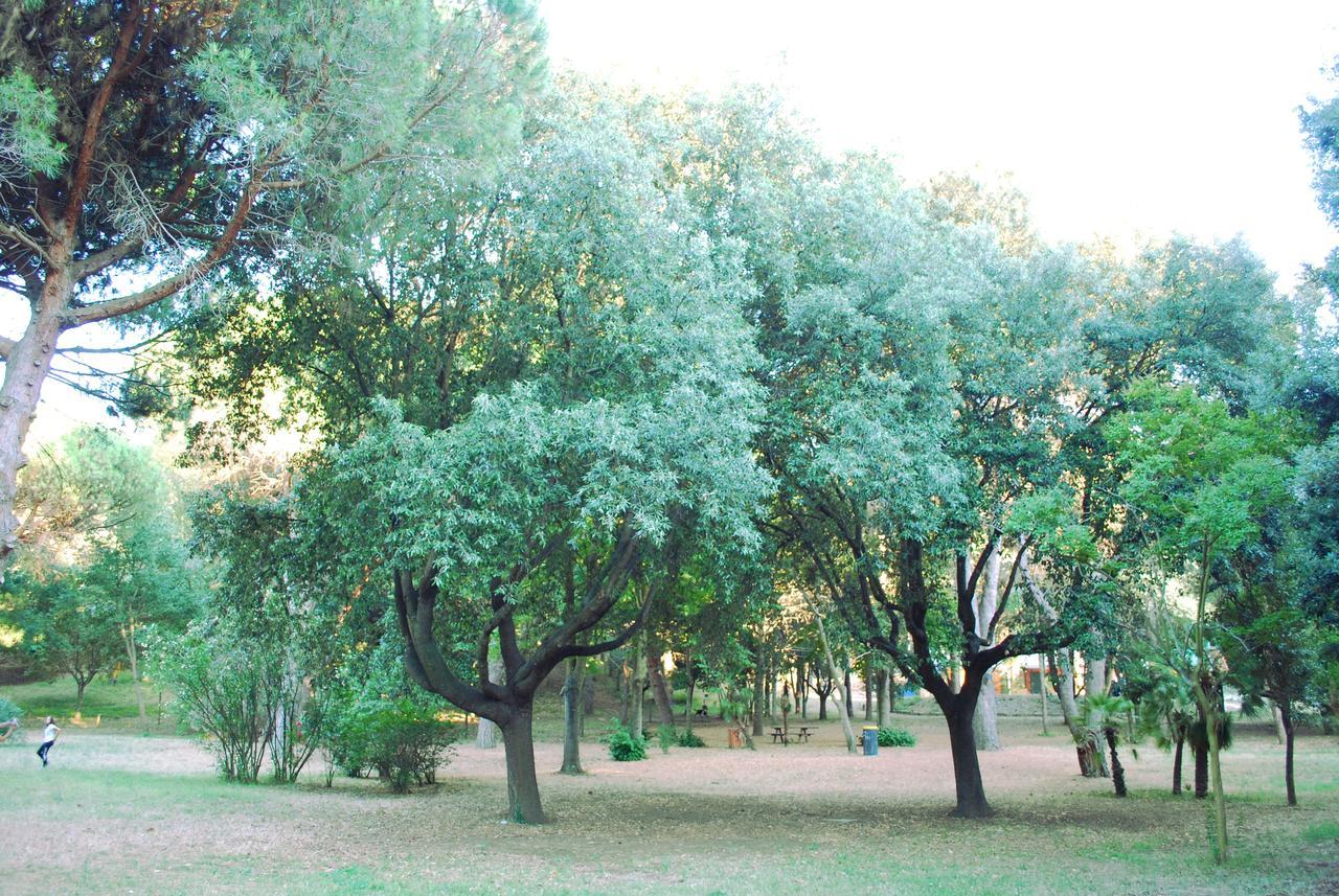 Geo House Bed and Breakfast Termoli Εξωτερικό φωτογραφία